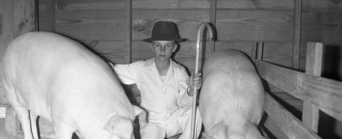 Reece Morrel Jr was a teenage pig farmer